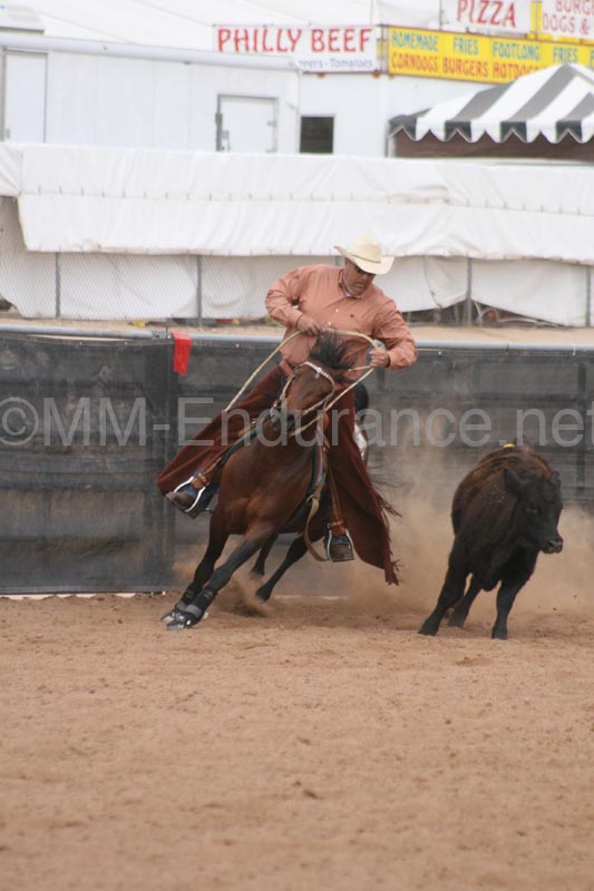 1102SAS_0968