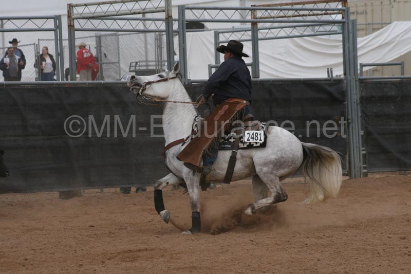 1102SAS_0970