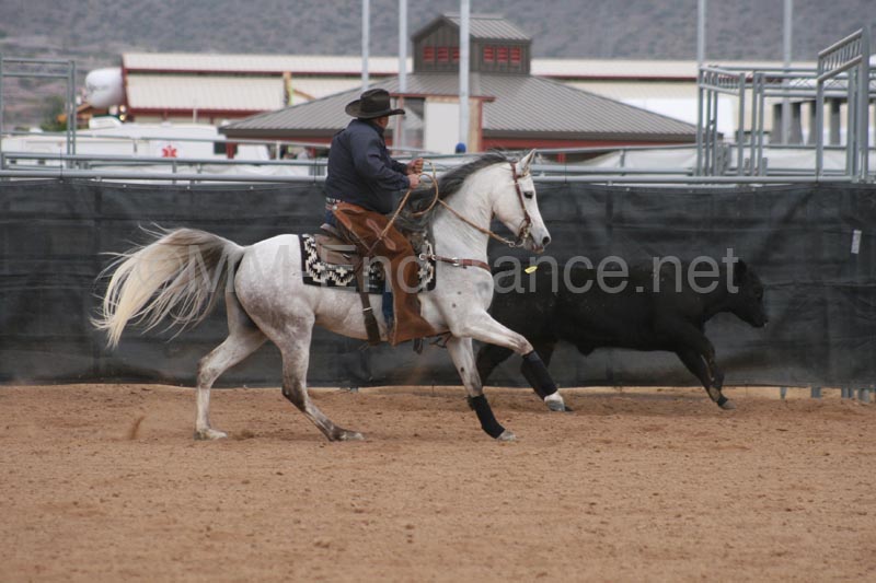 1102SAS_0971
