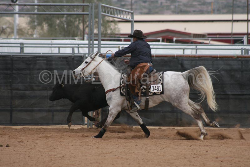 1102SAS_0973