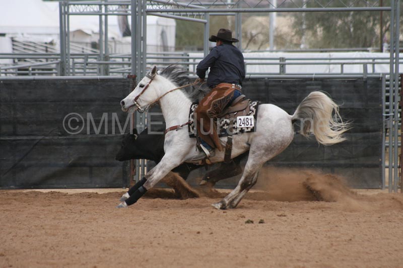 1102SAS_0974