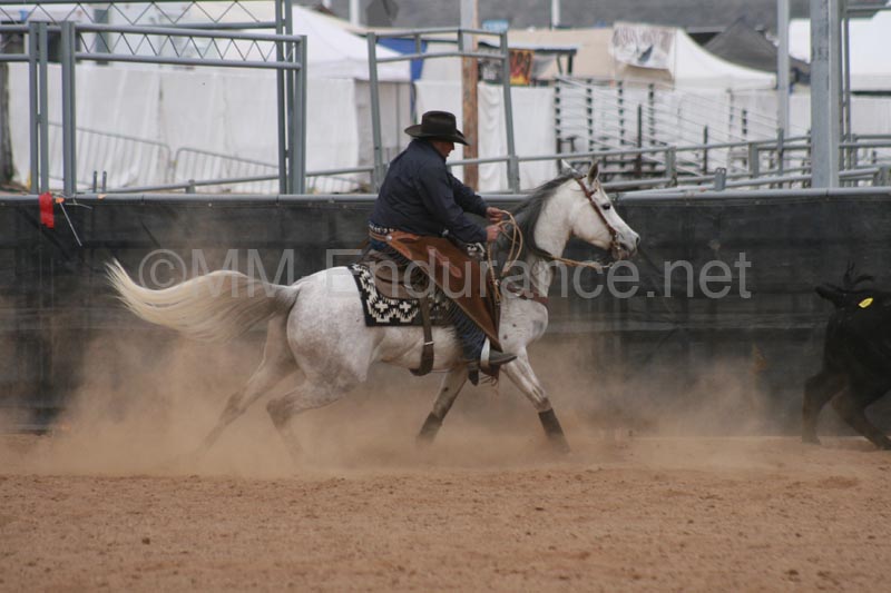 1102SAS_0976