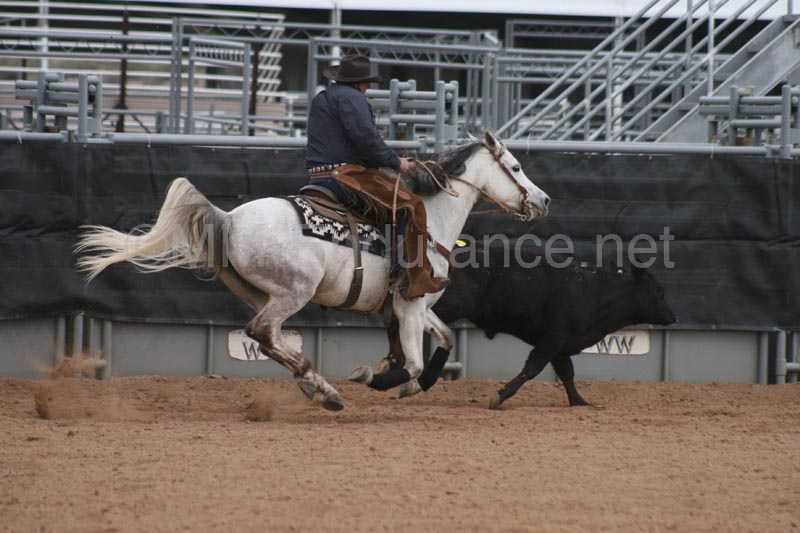 1102SAS_0978