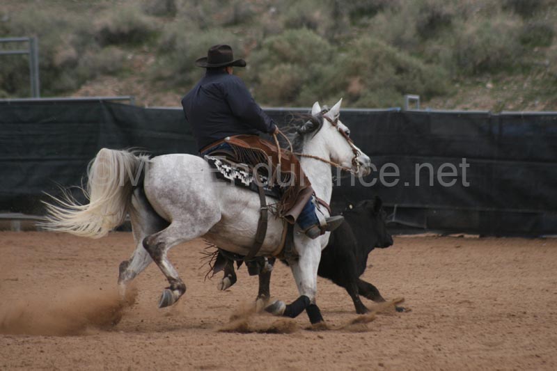 1102SAS_0979