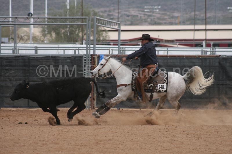 1102SAS_0980