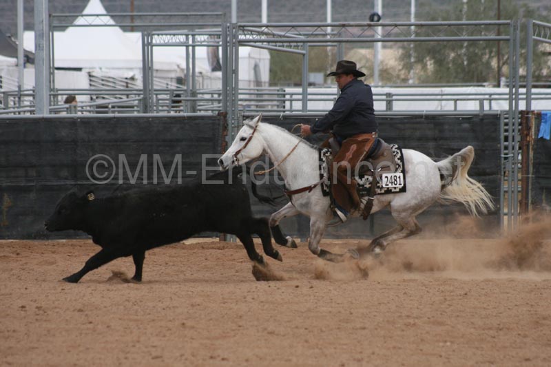 1102SAS_0981