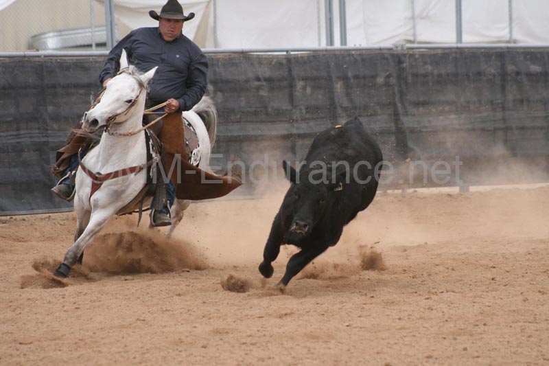 1102SAS_0982