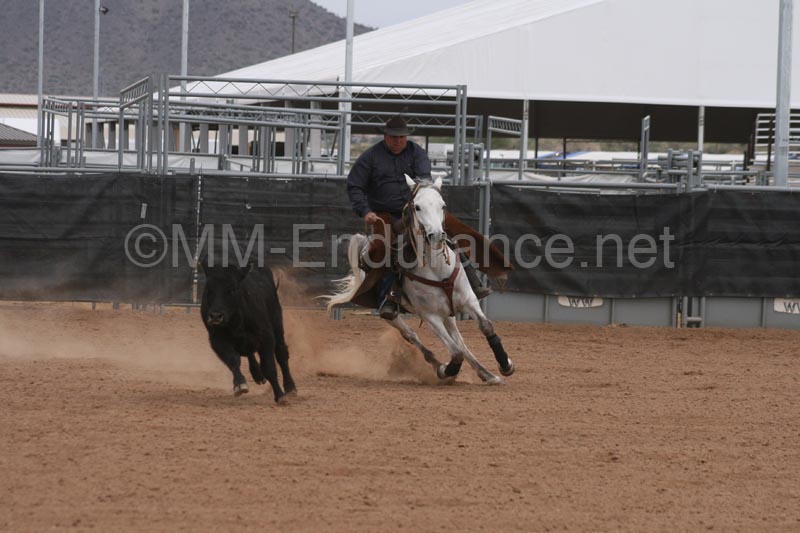 1102SAS_0983
