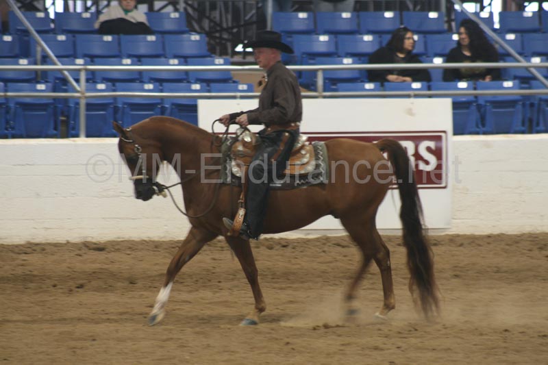 1102SAS_0985