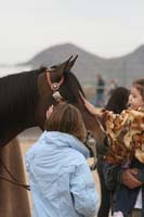 1102SAS_0920