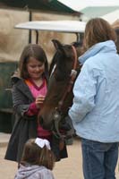 1102SAS_0923