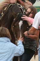 1102SAS_0925