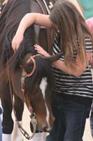 1102SAS_0927