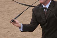 1102SAS_0931