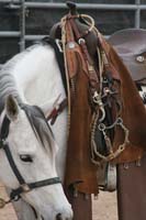1102SAS_0935