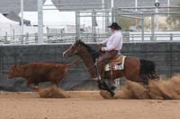 1102SAS_0937