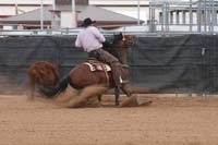 1102SAS_0939