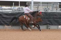 1102SAS_0940
