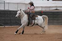 1102SAS_0944