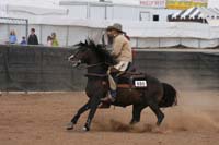 1102SAS_0947