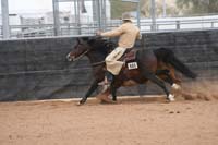1102SAS_0951