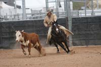 1102SAS_0953
