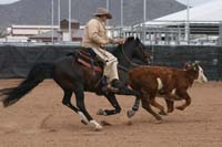 1102SAS_0956