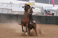 1102SAS_0959