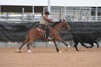 1102SAS_0962