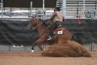 1102SAS_0963