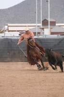 1102SAS_0967
