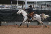 1102SAS_0972