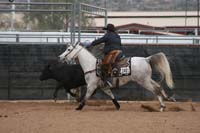 1102SAS_0973