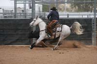 1102SAS_0974