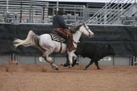 1102SAS_0978