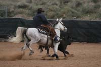 1102SAS_0979