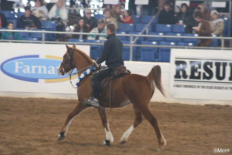 1102SAS_1149