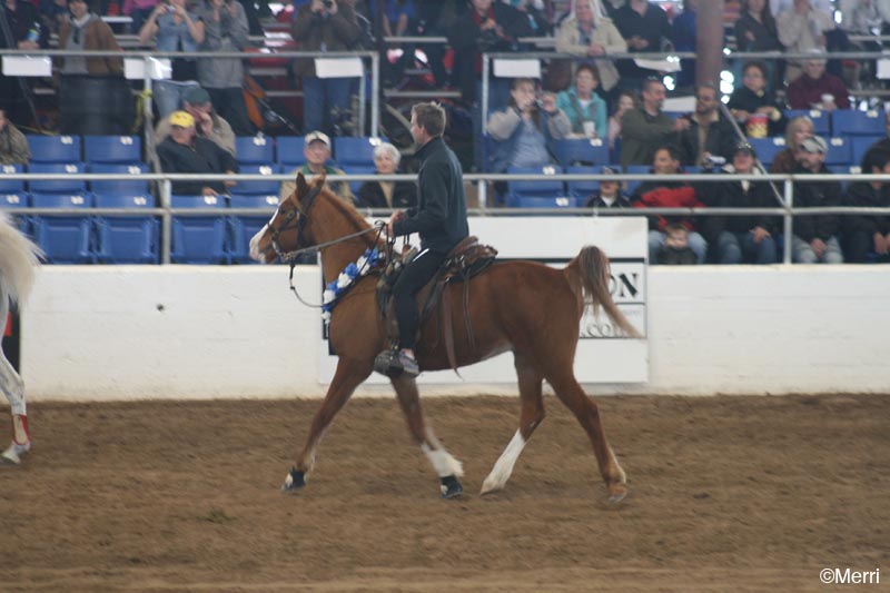 1102SAS_1159