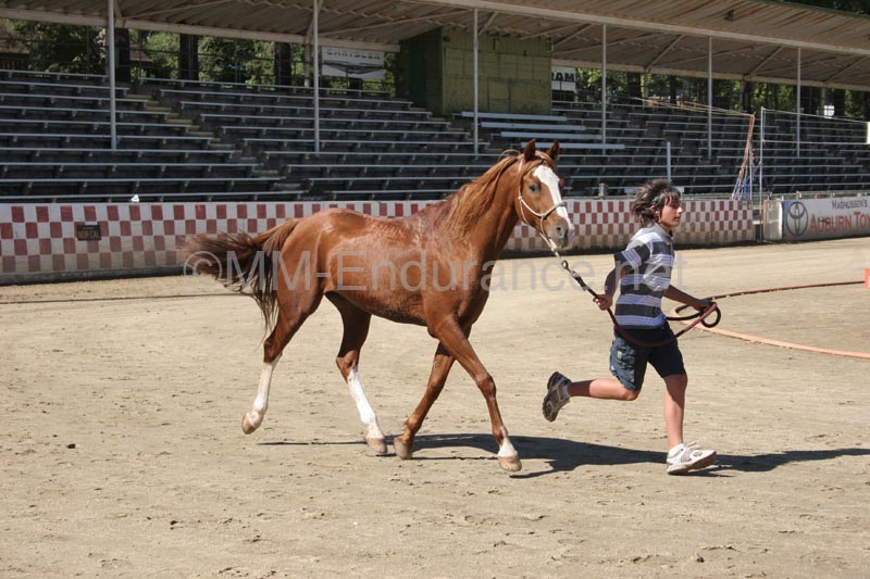 1110TCup_053