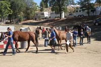 1110TCup_047