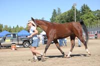 1110TCup_049