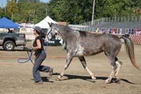 1110TCup_061