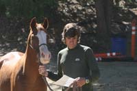 1110TCup_156