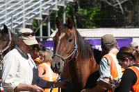 1110TCup_196