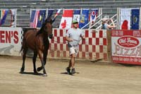 1110TCup_198