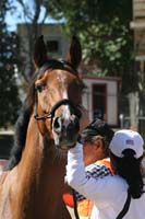 1110TCup_203