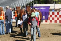1110TCup_208