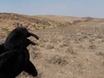 international/USA/2012OwyheeCanyonlands/gallery/01/thumbnails/1209OC_112.jpg