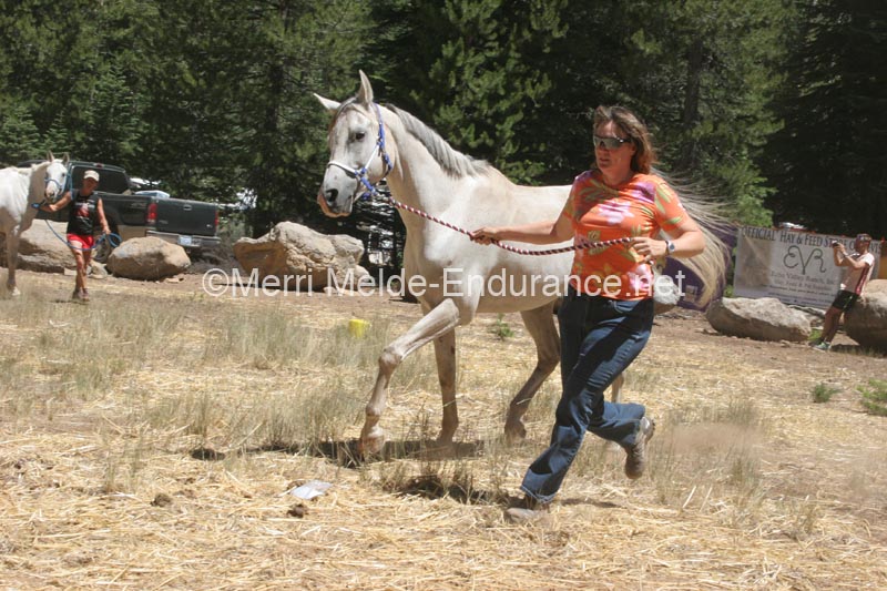 1208TEV_019