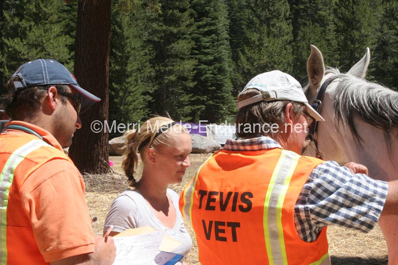 1208TEV_043